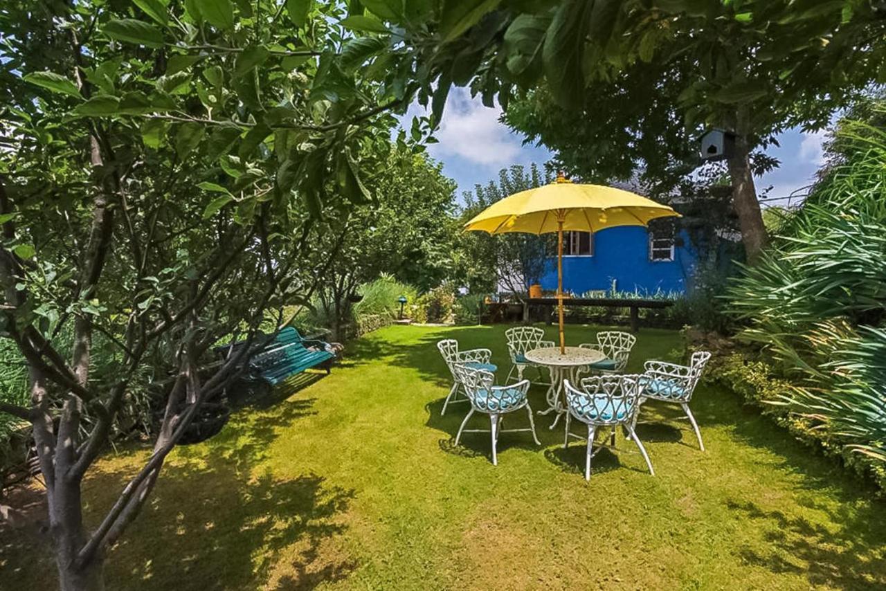 Stayvista At Violet Hill With Bonfire, Gazebo & Hill View شيملا المظهر الخارجي الصورة